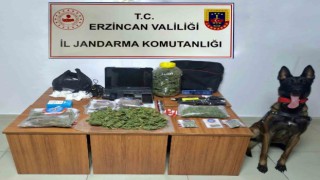 Erzincanda jandarma suç olaylarına geçit vermiyor