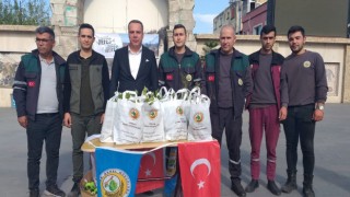 Erzin’de Ağaçlandırma Günü: Vatandaşlara Fidan Dağıtıldı