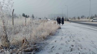 Erzurum buz kesti, sis şehri örttü