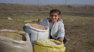 Erzurumda 200 yıllık Ata tohumunun ticaretini yapmaya başladı