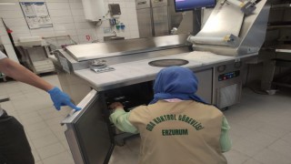 Erzurumda gıda satışı yapan işyerleri denetlendi