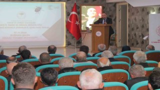 Etkili mücadele şart