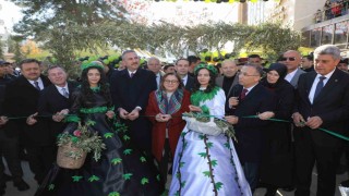 Gaziantep Zeytin Festivali başladı
