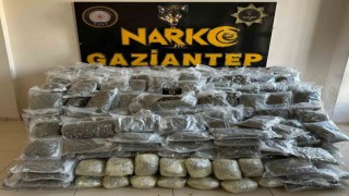 Gaziantepte 104 kilo skunk ele geçirildi
