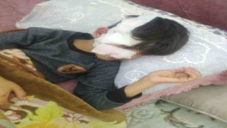 Gaziantepte 8 yaşındaki çocuğa 5 sokak köpeği saldırdı