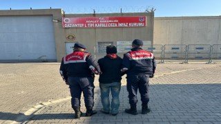 Gaziantepte zeytin hırsızlığı şüphelisi tutuklandı