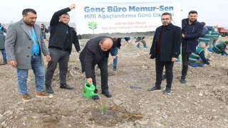 Genç Büro Memur-Senden Türkiye Yüzyılına fidan desteği
