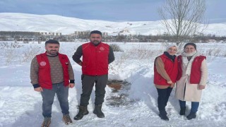 Gençlik Merkezi gönüllüleri sokak hayvanları için doğaya yiyecek bıraktı