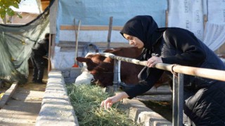Gıda mühendisi 2 çocuk annesi devletten aldığı destek ile genç yaşta besici oldu