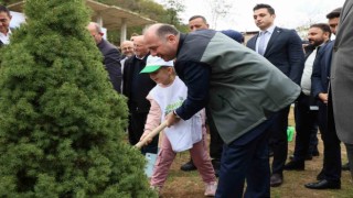 Giresunda 1 milyon ağaç toprakla buluşacak