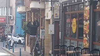 Göz göre göre sokaktaki güzelim ağacı kesti