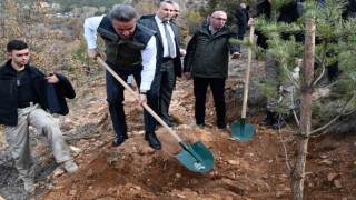 Gümüşhanede binlerce fidan toprakla buluştu