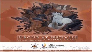 Güzel atlar diyarında, ‘at festivali yapılacak