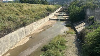 Hatay Büyükşehir Belediyesi, Drone Destekli İlaçlama Çalışmalarını Sürdürüyor