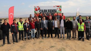 Hatay Büyükşehir Belediyesi’nden Çilek Üreticilerine Destek