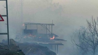Hatayda orman yangını evlere sıçradı