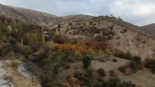 Hizanda sonbahar güzelliği