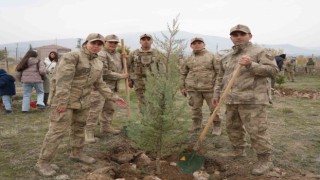 Iğdırda binlerce fidan toprakla buluşturuldu