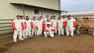 Iğdırda veteriner sağlık teknisyenlerine suni tohumlama kursu düzenlendi