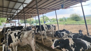 İl Tarım ve Orman Müdürlüğü’nden Yetiştiricilere Uyarı