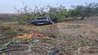 İşçileri taşıyan kamyonet ağaca çarptı: 1 ölü, 7 yaralı