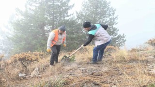 Isparta Belediyesi Gölcük Tabiat Parkında fidanlar toprakla buluşturuldu