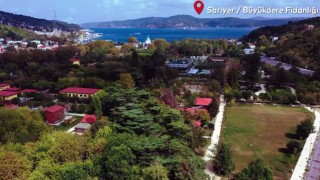İstanbul’da Atalık Tohum Seferberliği Başladı