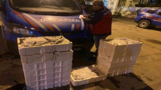 İstanbulda yasadışı küçük boy balık nakli yapanlara ceza yağdı