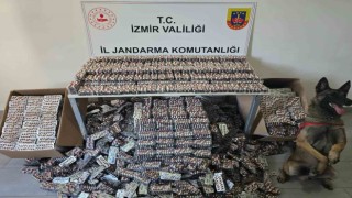 İzmirde jandarmadan operasyon: 129 bin sentetik hap ele geçirildi
