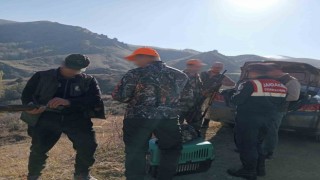 Jandarma 379 avcıyı kontrol etti