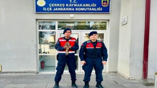 Jandarma ekipleri yaralı olarak buldukları şahine nefes oldu