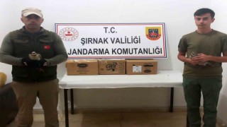 Jandarmanın dikkati ile 6 kınalı keklik kurtarıldı