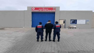 Kaçakları jandarma yakaladı