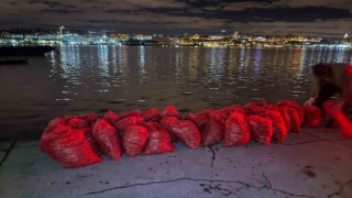 Kadıköyde 1 ton kaçak midye ele geçirildi