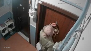 Kadın hırsızlar güvenlik kameralarının kablolarını kesip daireleri soydular