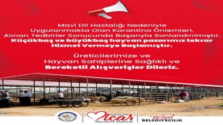 Kadirli'de Mavi Dil Hastalığı Son Buldu, Hayvan Pazarları Yeniden Açıldı