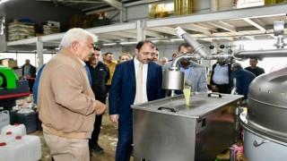 Kadirli'de Zeytin Hasadı: Kaymakam Dolu Fabrikaları Gezdi