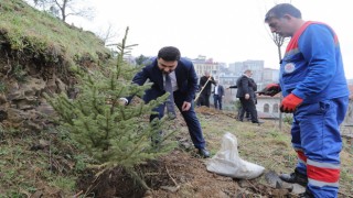 Kağıthanede yeşil gelecek: Her bebek bir ağaçla büyüyor