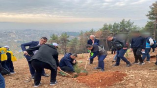 Kahramanmaraşta denetimli hükümlüler fidan dikti