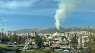Kahramanmaraşta orman yangını