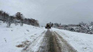 Kar sonrası kapanan tüm köy yolları ulaşıma açıldı