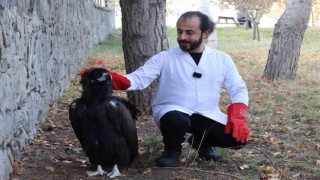 Kara akbaba artık şefkatli ellerde