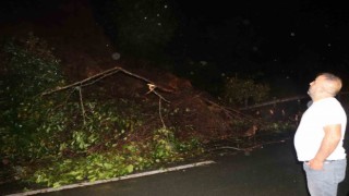 Karadeniz Sahil Yolu heyelan nedeniyle tek yönlü trafiğe kapandı