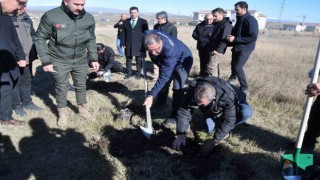 Karsta fidanlar toprakla buluştu