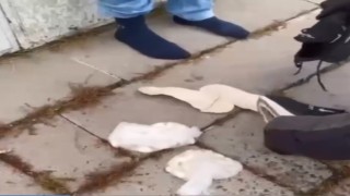 Karsta İranlı kuryeyi ayağındaki büyük ayakkabılar ele verdi