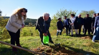 Kastamonu Üniversitesinde 100 fidan dikildi