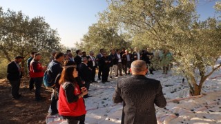 Kavaklıderede zeytin hasat sezonu Hillerima Antik Kentinde dualarla başladı