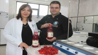 Kayseri Üniversitesi gilaburu şerbeti üretti, patent başvurusu yaptı