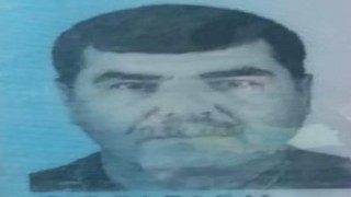Kestiği ağacın altında kalan adam öldü