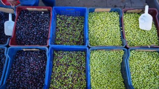 Kiliste yerli sofralık zeytin tezgahlarda yerini aldı